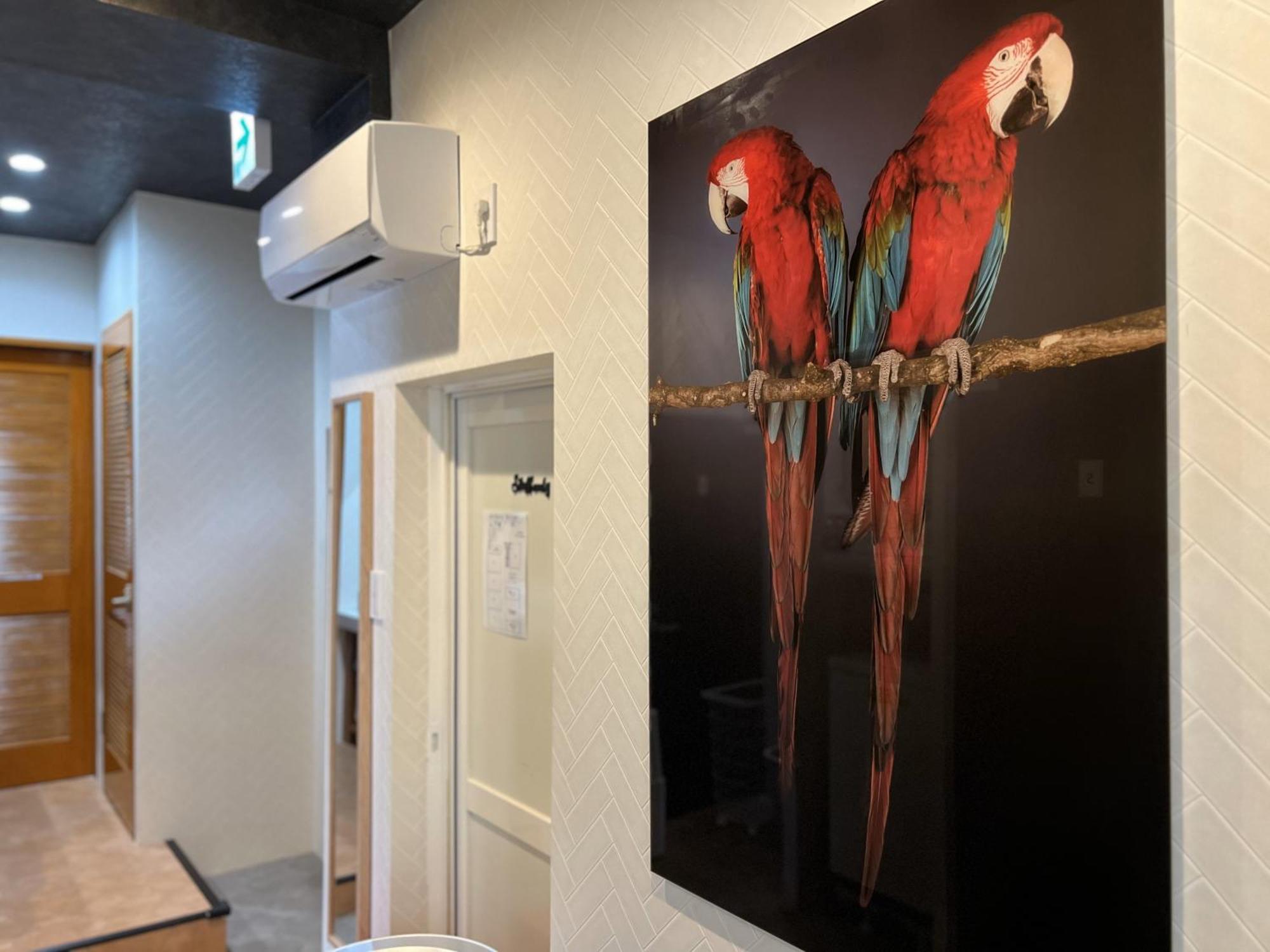 ゲストハウス Joooy Hotel 奄美 Amami Exterior foto